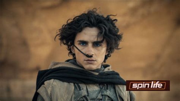 A Journey Of Versatility And Cinematic Brilliance