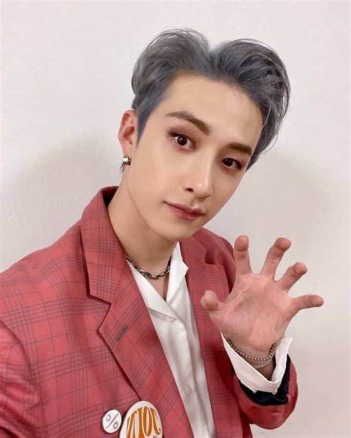 Bang Chan Net Worth 2022