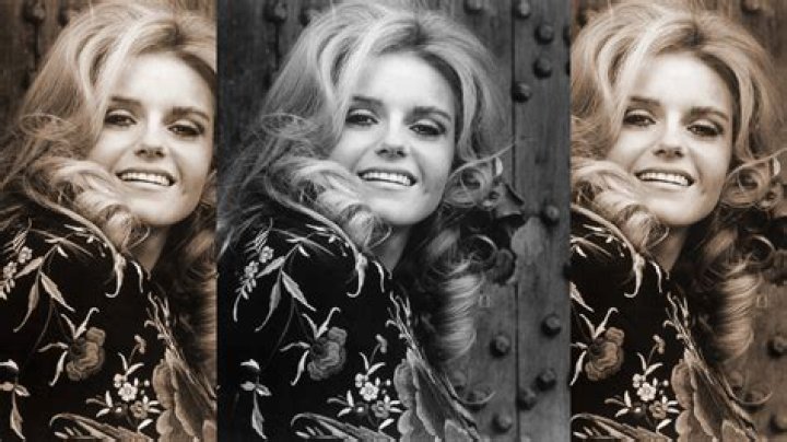 Discovering The Truth About Sharon Farrell Spouse