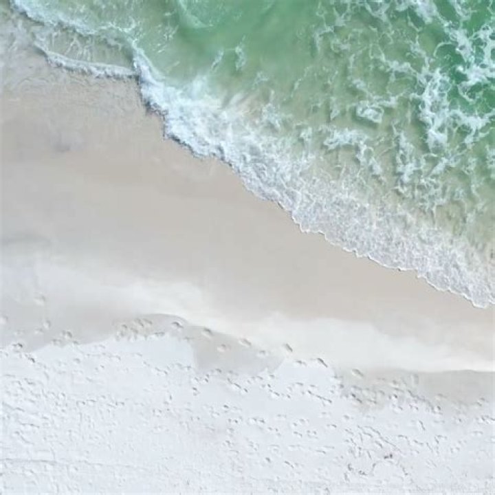 Your Ultimate Guide To Entertainment In Pensacola